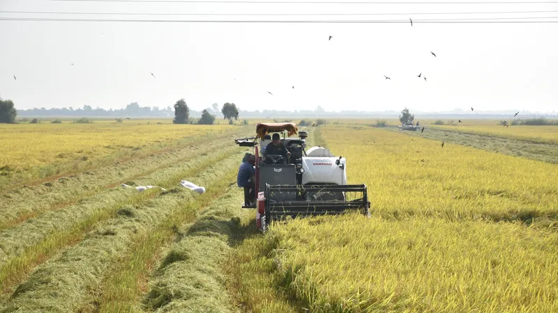 Nâng cao năng lực cho nông dân trong sản xuất nông nghiệp