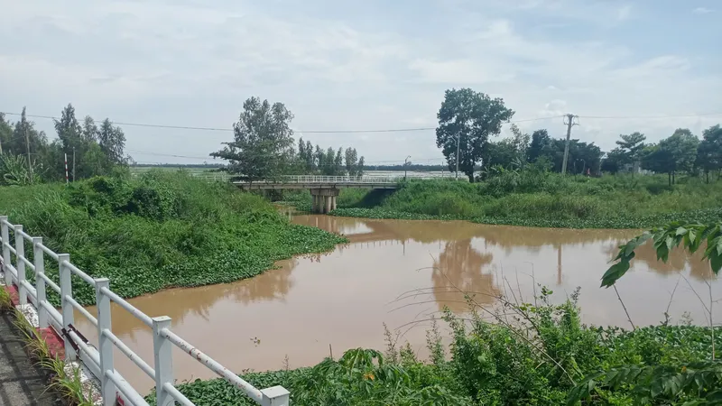 Tìm thấy thi thể bé trai 3 tuổi dưới kênh Gò Thuyền ở Long An 