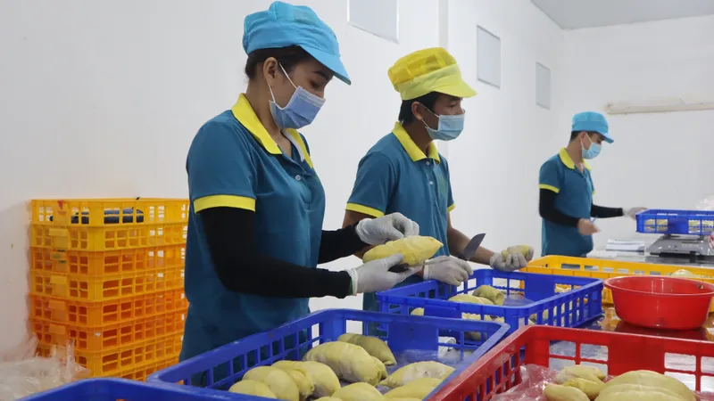6 mặt hàng xuất khẩu thặng dư trên 1 tỷ USD 