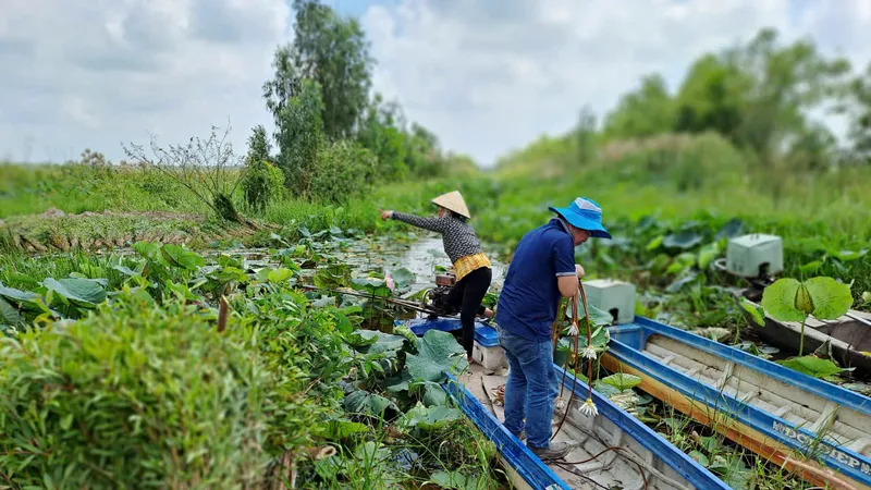 Long An: Tích cực phục hồi 17ha rừng ở Khu bảo tồn Đất ngập nước Láng Sen
