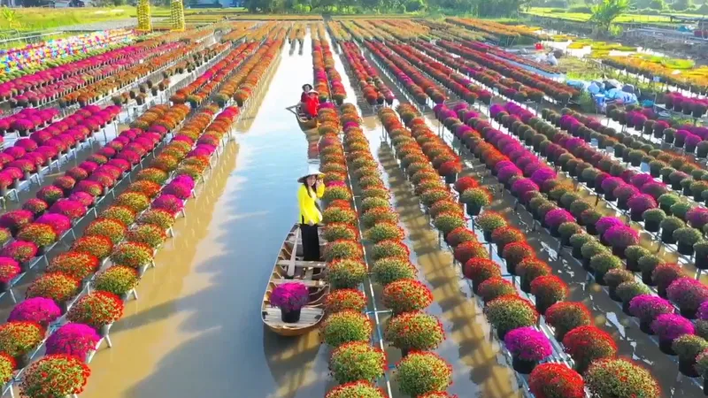 Rực rỡ Làng hoa Sa Đéc