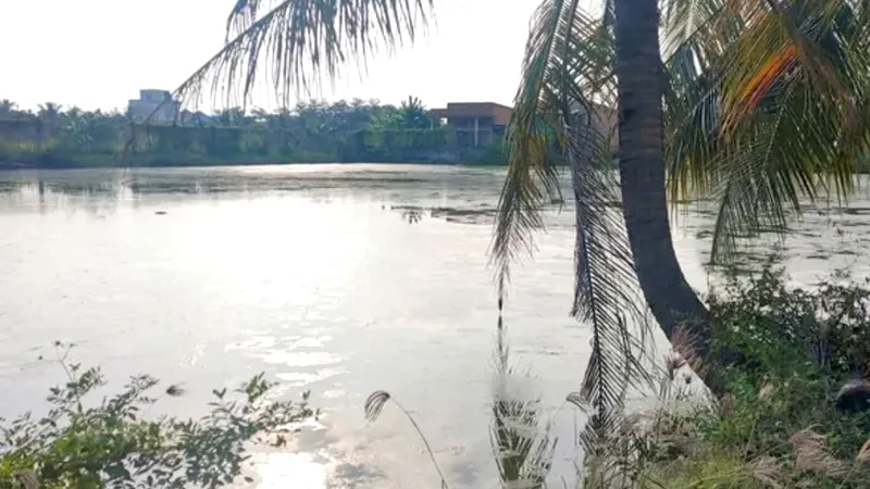 Điều tra nguyên nhân bé gái 5 tuổi tử vong dưới ao ở Long An