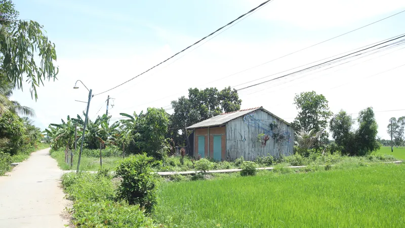 Long An: Từ 15-4, cho phép người dân sử dụng đất nông nghiệp để xây dựng công trình phục vụ sản xuất 
