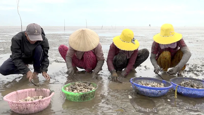 Tiền Giang áp dụng công nghệ mới nuôi trồng thủy sản 