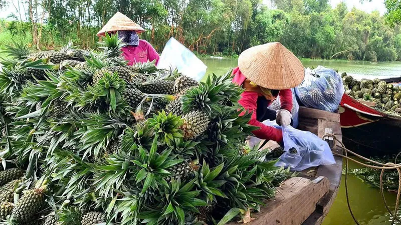 Đồng Tháp đặt chỉ tiêu tỷ trọng kinh tế số năm 2025 đạt 15% GRDP