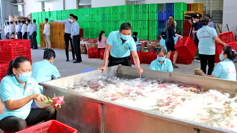 Đồng Tháp: Không để xảy ra tình trạng chậm đóng Bảo hiểm xã hội 