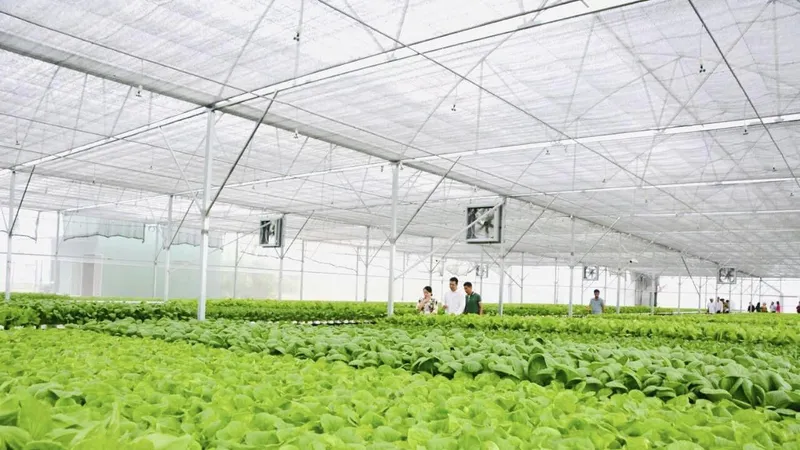 Đồng Tháp nhân rộng mô hình nông nghiệp thông minh gắn với sản phẩm chủ lực