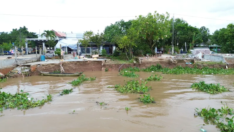 Đồng Tháp công bố tình huống khẩn cấp sạt lở bờ sông Tiền