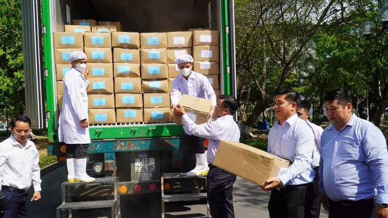 Tìm hướng phát triển bền vững ngành hàng trái cây Việt Nam
