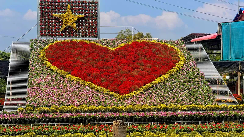 Đồng Tháp: Sẵn sàng cho Festival Hoa - Kiểng Sa Đéc lần thứ II