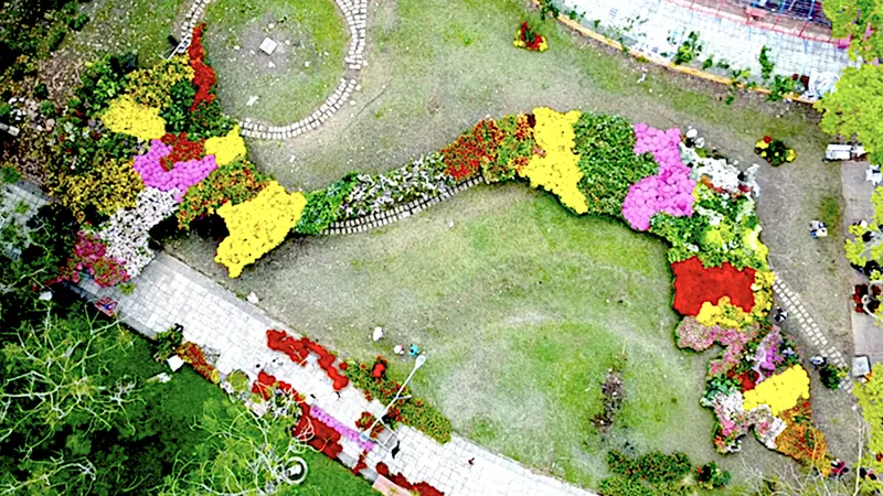 Xác lập kỷ lục Bản đồ Việt Nam tạo hình từ các giống hoa – kiểng