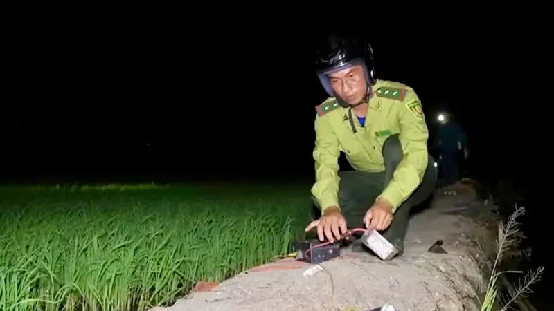 Đồng Tháp tăng cường tuần tra, ngăn chặn săn bắt trái phép chim hoang dã