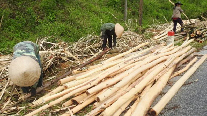 Người dân rơi vào cảnh khó khăn sau khi cơn bão số 10 quét qua.