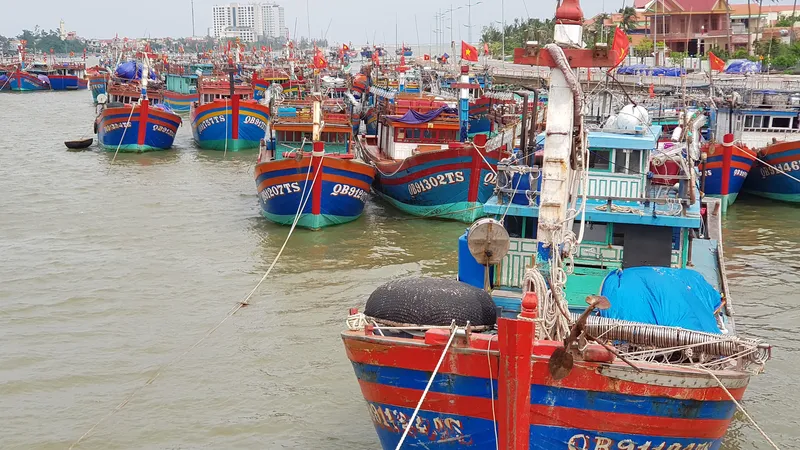 Đánh bắt xa bờ đem lại thu nhập lớn cho xã biển Bảo Ninh