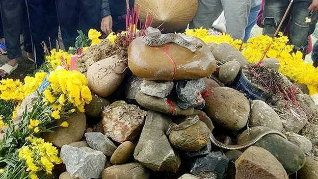 Rắn xuất hiện trên mộ người ăn xin, dòng người mê tín đổ về khấn vái