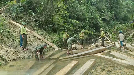 Quảng Bình: 3 cán bộ kiểm lâm bị khiển trách khi rừng mất gần 100m3 gỗ
