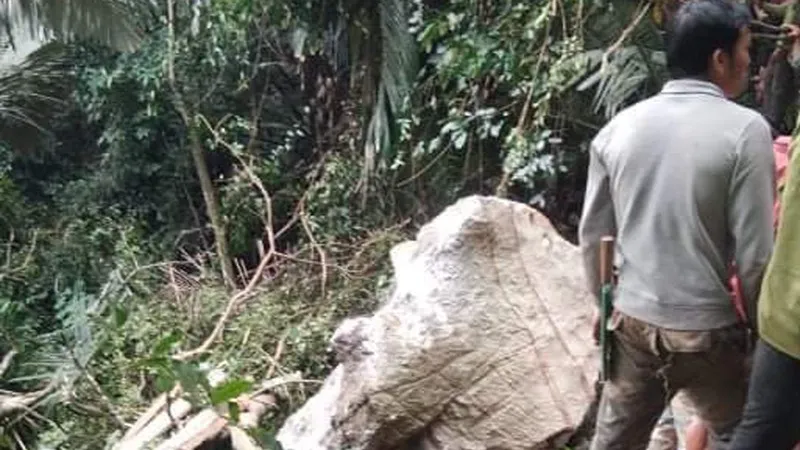 Hiện trường vụ tai nạn làm một người tử vong ở Hóa Phúc