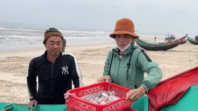 Ngư dân xã Hải Ninh, huyện Quảng Ninh trúng đậm cá khoai