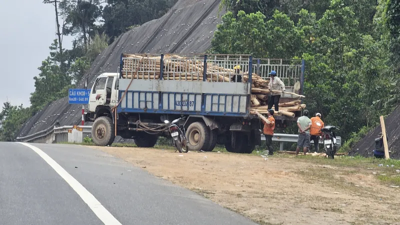 Keo tràm bốc bên đường cao tốc phóng từ taluy dương xuống rất nguy hiểm