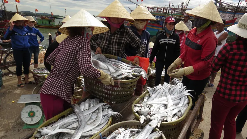 Quảng Bình: Chống khai thác IUU một xã biển thu về hơn 300 tỷ đồng