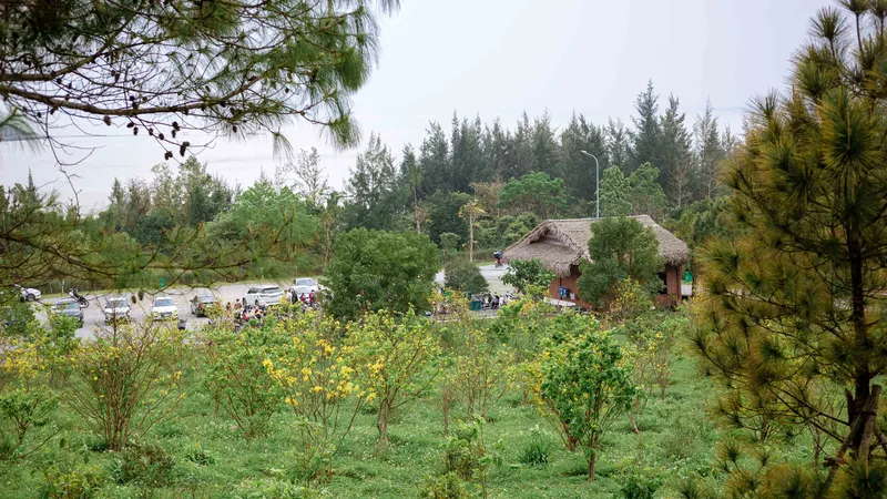 Rất đông du khách viếng mộ Đại tướng Võ Nguyên Giáp dịp tết