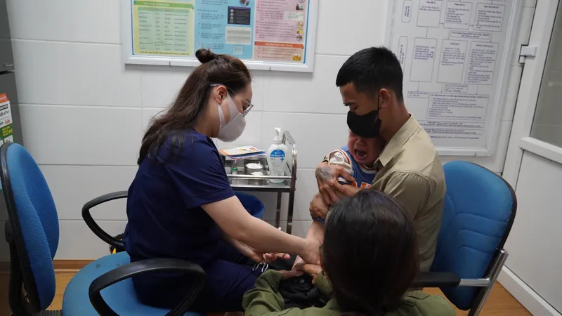 Quảng Bình: 444 người phải đi tiêm phòng dại vì bị chó, mèo cắn