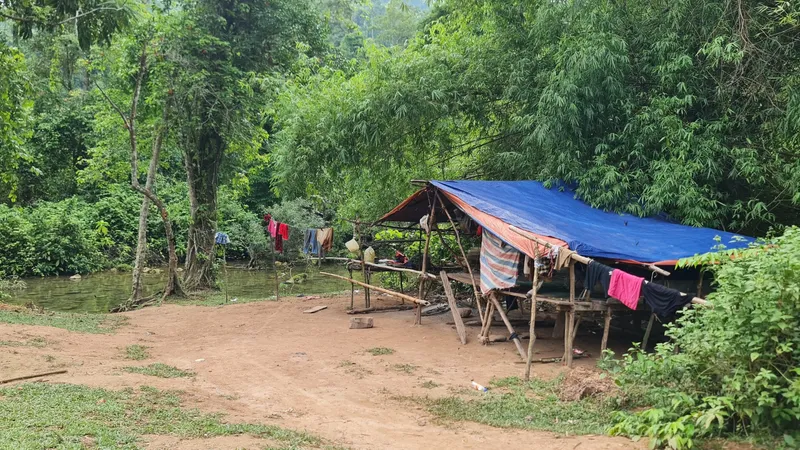 Lán lấy mây - nơi chị Vinh và chị Tha phát hiện thấy hổ cách khoảng 300m 
