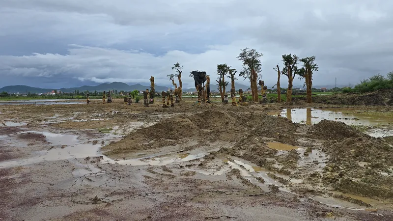 Vụ lấp 10ha ao hồ nuôi trồng thủy sản: Yêu cầu kiểm điểm Phó Chủ tịch thị xã Ba Đồn