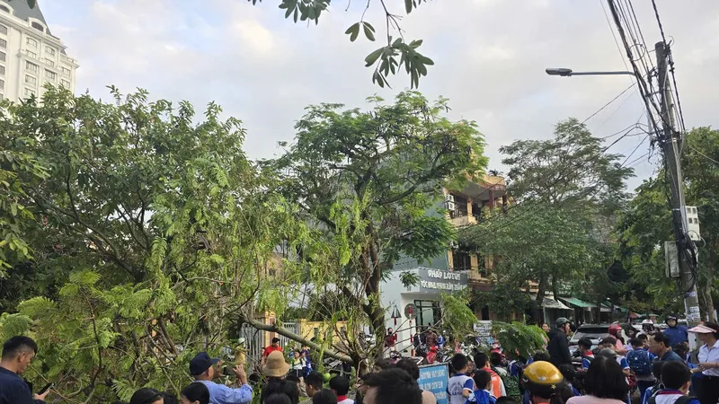 Quảng Bình: Cây xanh gãy đổ trước cổng trường ngay giờ tan tầm