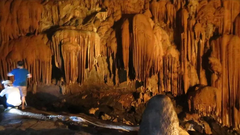 Phong Nha - cuộc trường chinh của nước