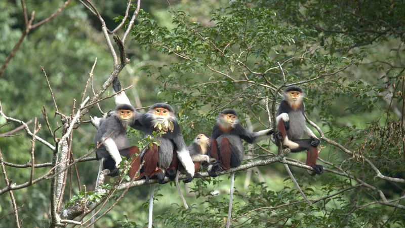 Phong Nha - Kẻ Bàng hướng tới danh hiệu Khu dự trữ sinh quyển thế giới