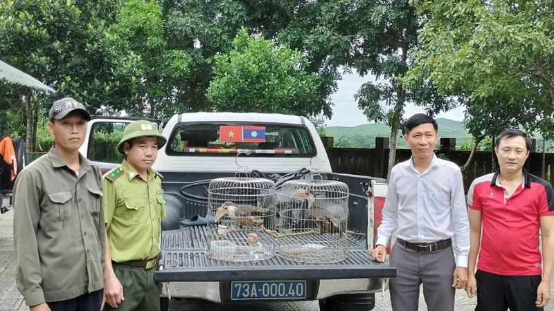 Trao hai chim niệc nâu quý hiếm cho Vườn quốc gia Phong Nha – Kẻ Bàng