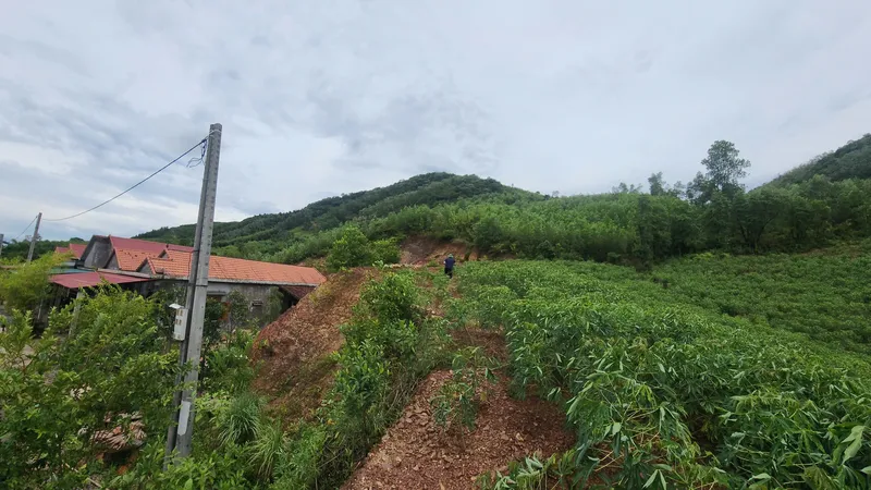 Sạt lở khu vực đồi Phòng Không