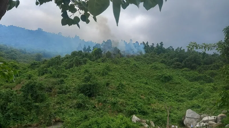 Khoảnh rừng bị cháy