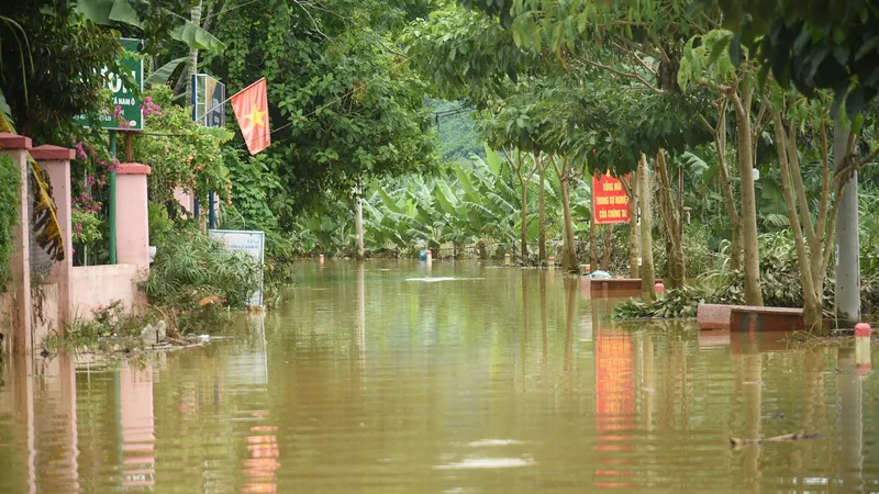 Ghi nhận vào sáng 19-9, tại thôn Nam Yên, xã Hòa Bắc (huyện Hòa Vang, TP Đà Nẵng), nước lũ bủa vây khu dân cư ven sông, có nơi cao đến gần 1 mét