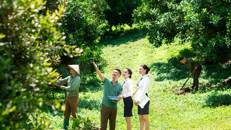 Cho vay chuỗi giá trị thúc đẩy phát triển kinh tế nông thôn bền vững