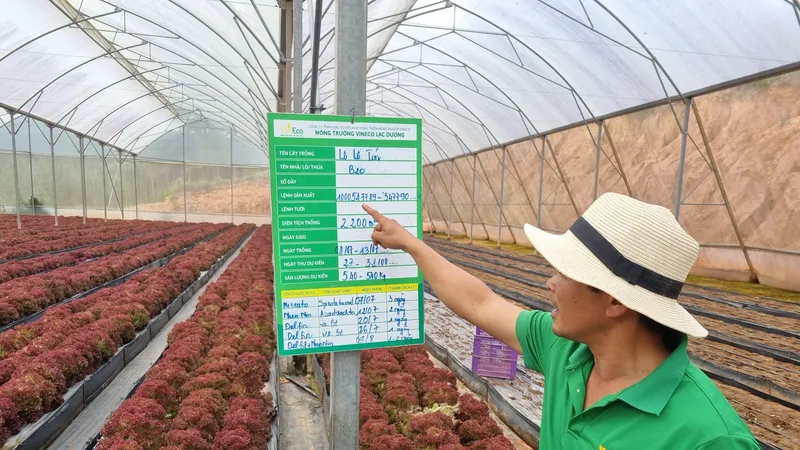 WinEco và tham vọng “phủ sóng” nông sản sạch 