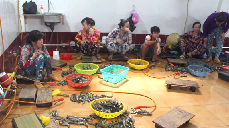 Kiểm soát, ngăn chặn hành vi bơm tạp chất vào tôm
