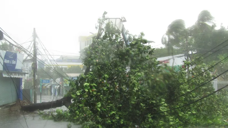 Vũng Tàu mưa lớn, gió giật mạnh, Khánh Hòa - Ninh Thuận ngập lụt, đường sắt tê liệt 