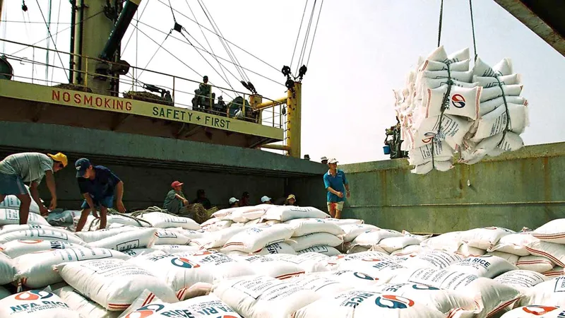 Gạo Việt Nam lên tàu xuất khẩu. Ảnh minh họa