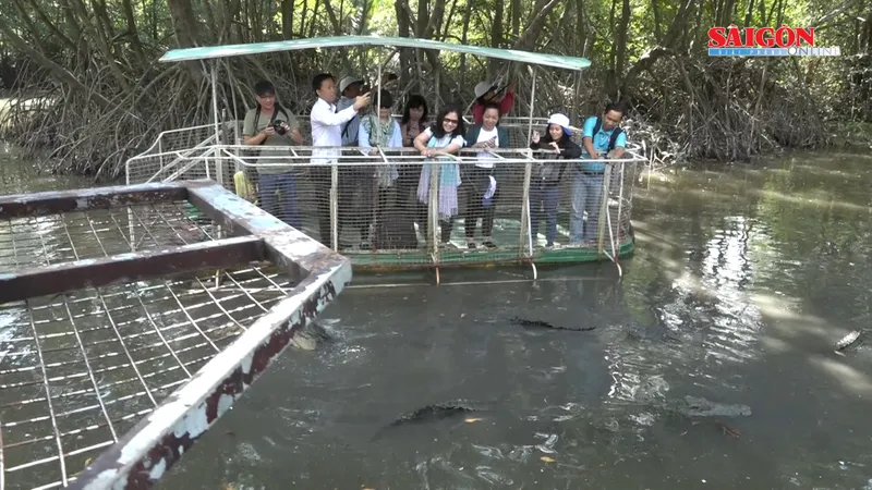 TPHCM thiết kế chùm tour, đẩy mạnh kích cầu du lịch