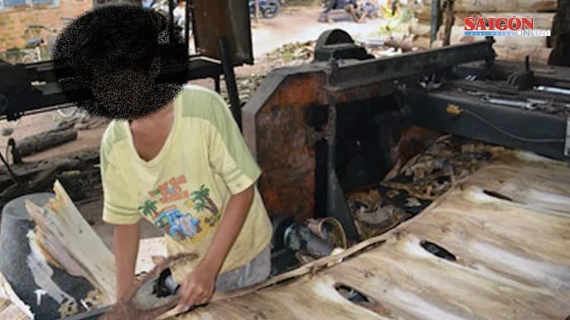 Lao động trẻ em trong bối cảnh cam kết quốc tế về thương mại
