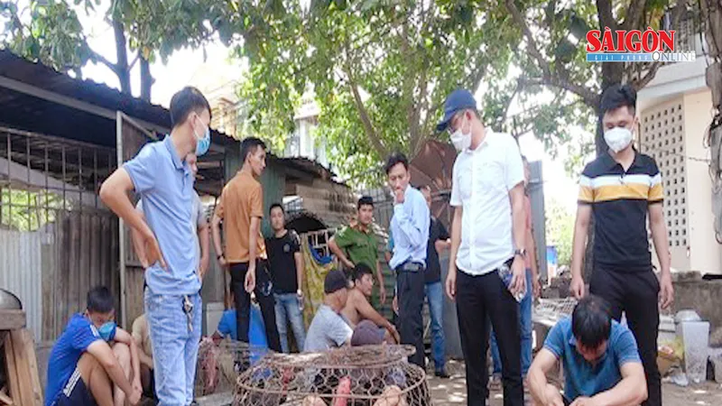 Triệt phá sới bạc chơi cá độ đá gà ăn tiền ở Huế