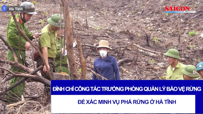 Đình chỉ công tác trưởng phòng quản lý bảo vệ rừng để xác minh vụ phá rừng ở Hà Tĩnh