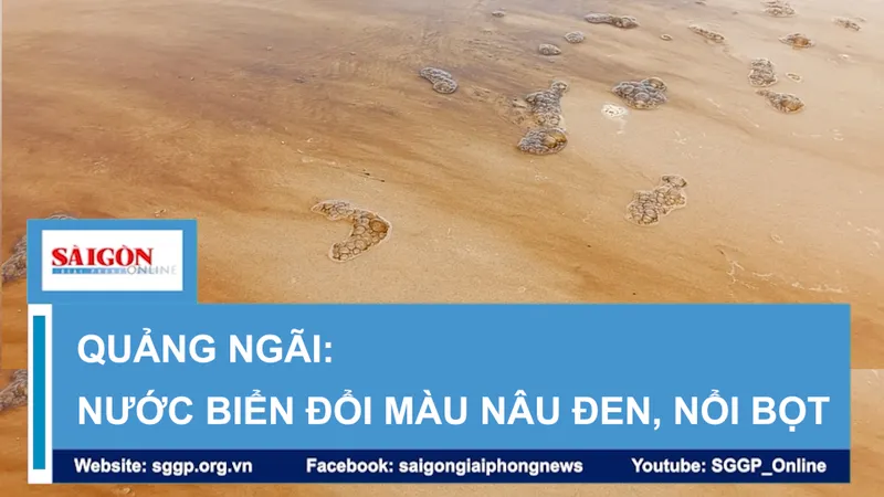 Quảng Ngãi: Nước biển đổi màu nâu đen, nổi bọt
