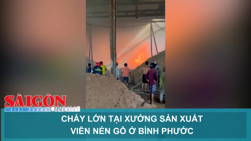 Cháy lớn tại xưởng sản xuất viên nén gỗ ở Bình Phước