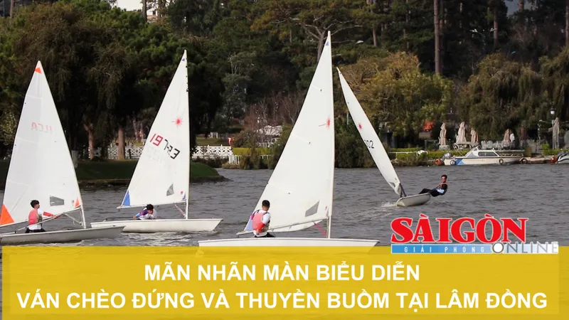 Mãn nhãn màn biểu diễn ván chèo đứng và thuyền buồm tại Đà Lạt
