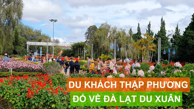 Du khách thập phương đổ về Đà Lạt du xuân
