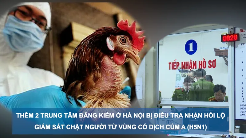 Tin nóng 20H (25-2): Thêm 2 trung tâm đăng kiểm ở Hà Nội bị điều tra nhận hối lộ, giám sát chặt người từ vùng có dịch cúm A(H5N1)