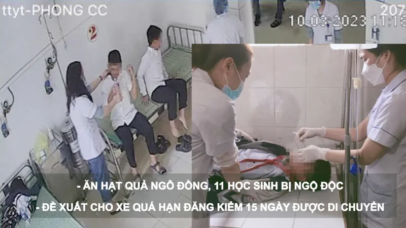 Tin nóng 20H (10-3): Ăn hạt quả ngô đồng, 11 học sinh bị ngộ độc; đề xuất cho xe quá hạn đăng kiểm 15 ngày được di chuyển